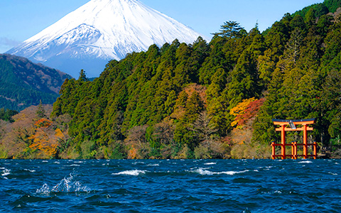 9 Days Best of Japan Tour from Osaka to Tokyo