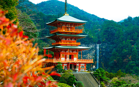 10 Top Travel Tips for First Time Visit to Japan