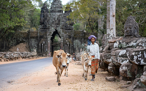 What do I need to travel to Cambodia?